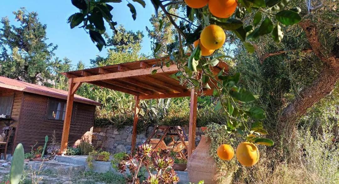 Levantes Garden House - Keratokampos Exterior foto